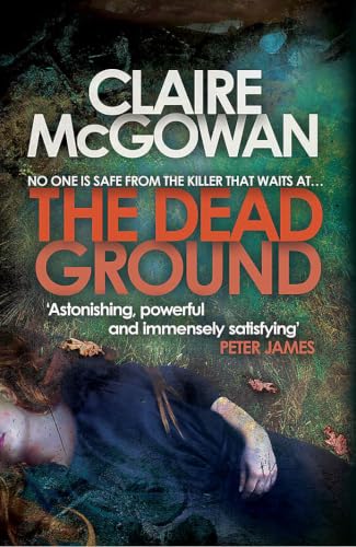 The Dead Ground book cover