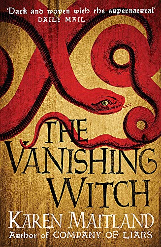 The Vanishing Witch book cover
