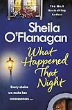 What Happened That Night A Pageturning Read By The No 1 Bestselling Author