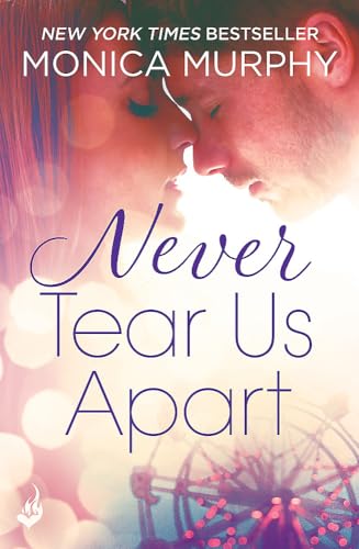 Never Tear Us Apart book cover