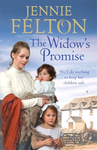 The Widow's Promise book cover