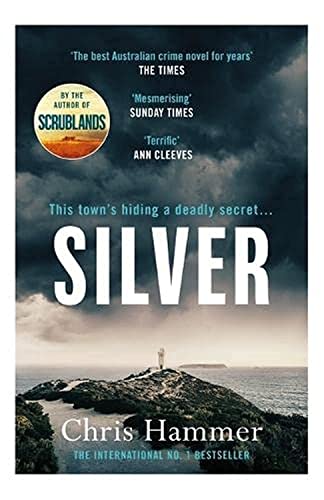 Silver book cover