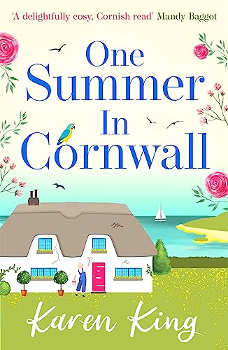One Summer in Cornwall book cover