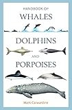 Handbook Of Whales Dolphins And Porpoises