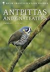 Antpittas and Gnateaters (Helm Identification Guides)