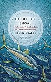 Eye Of The Shoal A Fishwatchers Guide To Life The Ocean And Everything