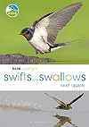 RSPB Spotlight: Swifts and Swallows