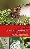Ants of Britain and Europe