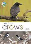 RSPB Spotlight: Crows
