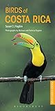 Birds Of Costa Rica Pocket Photo Guides