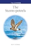 The Storm-Petrels