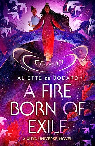 A Fire of Ten Thousand Flags book cover