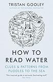 How To Read Water Clues Patterns From Puddles To The Sea