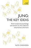Jung The Key Ideas From Analytical Psychology And Dreams To The Collective Unconscious And More