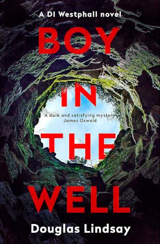Boy in the Well book cover