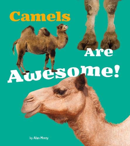 Cover of Camels Are Awesome!
