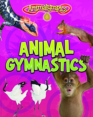 Cover of Animal Gymnastics