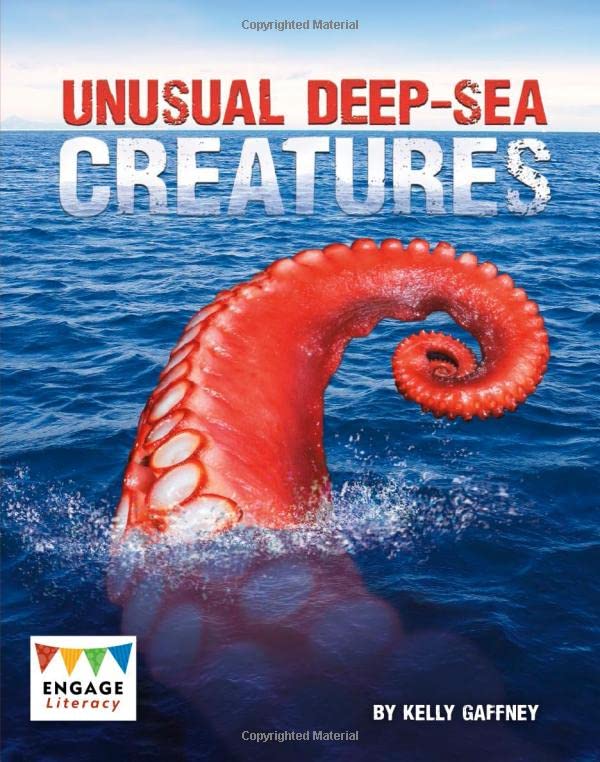 Cover of Unusual Deep-Sea Creatures