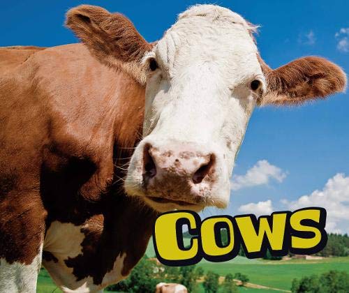 Cover of Cows