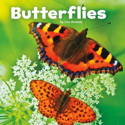Cover of Butterflies