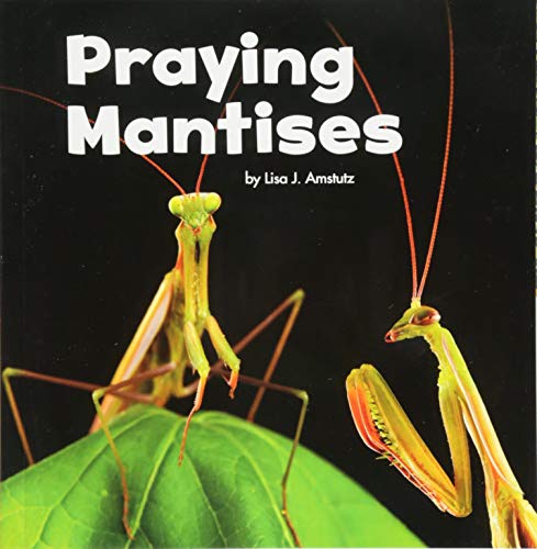 Cover of Praying Mantises