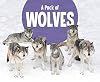 Animal Groups A Pack Of Wolves