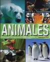 SOL 90 ANIMALES