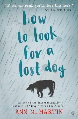 How To Look For A Lost Dog book cover