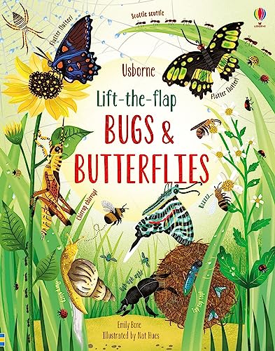 Cover of Bugs and Butterflies