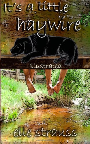 It's a Little Haywire (As:Elle Strauss) cover