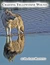 Charting Yellowstone Wolves