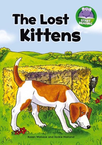 Cover of Lost Kittens