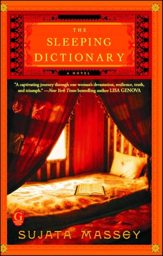 The Sleeping Dictionary book cover