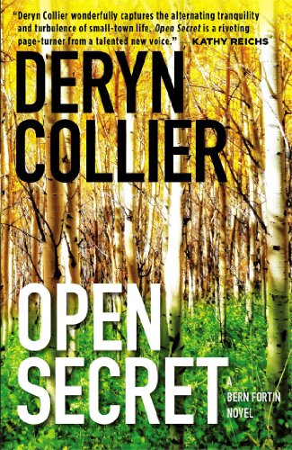 Open Secret book cover