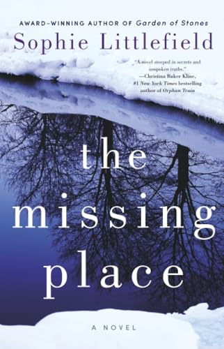 The Missing Place book cover