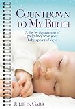 Countdown To My Birth A Daybyday Account Of Pregnancy From Your Babys Point Of View