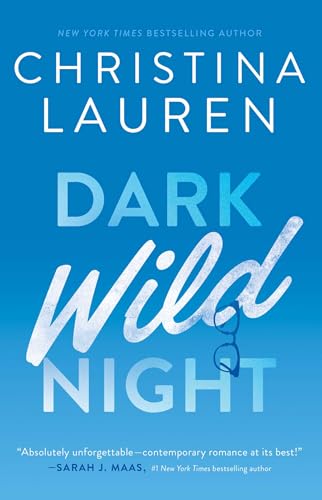 Dark Wild Night book cover
