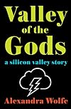 Valley of the Gods: A Silicon Valley Story