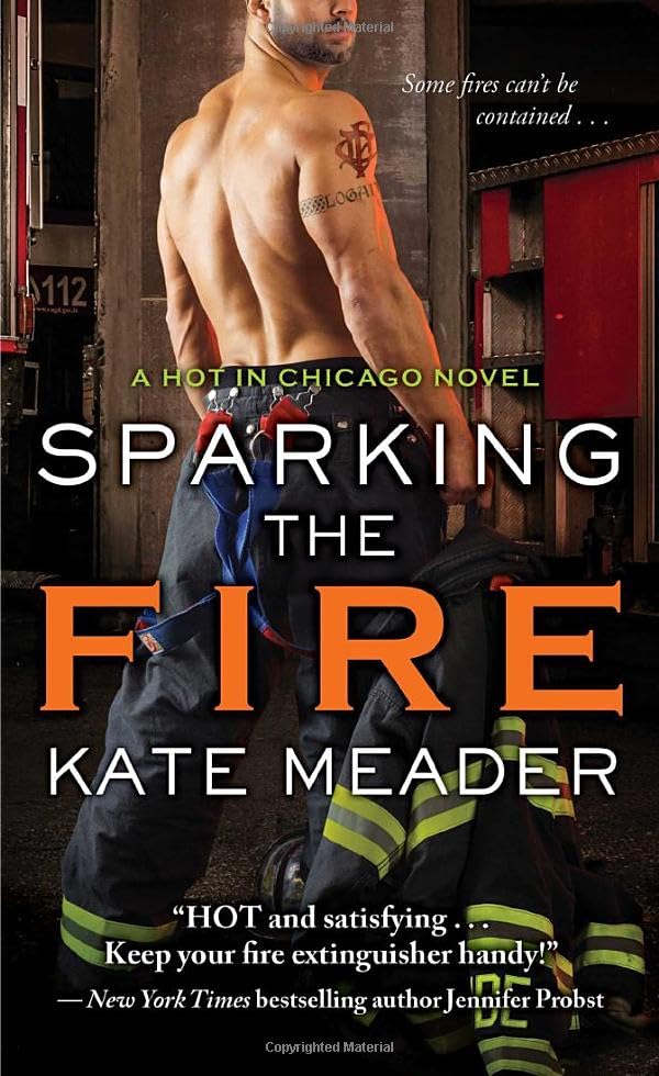 Sparking the Fire book cover