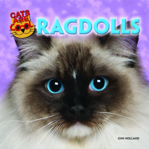 Cover of Ragdolls