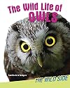 The Wild Life of Owls (Wild Side)