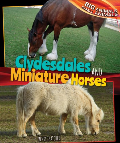Cover of Clydesdales and Miniature Horses