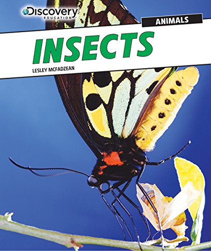 Cover of Insects