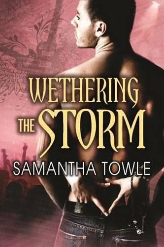 Wethering the Storm book cover