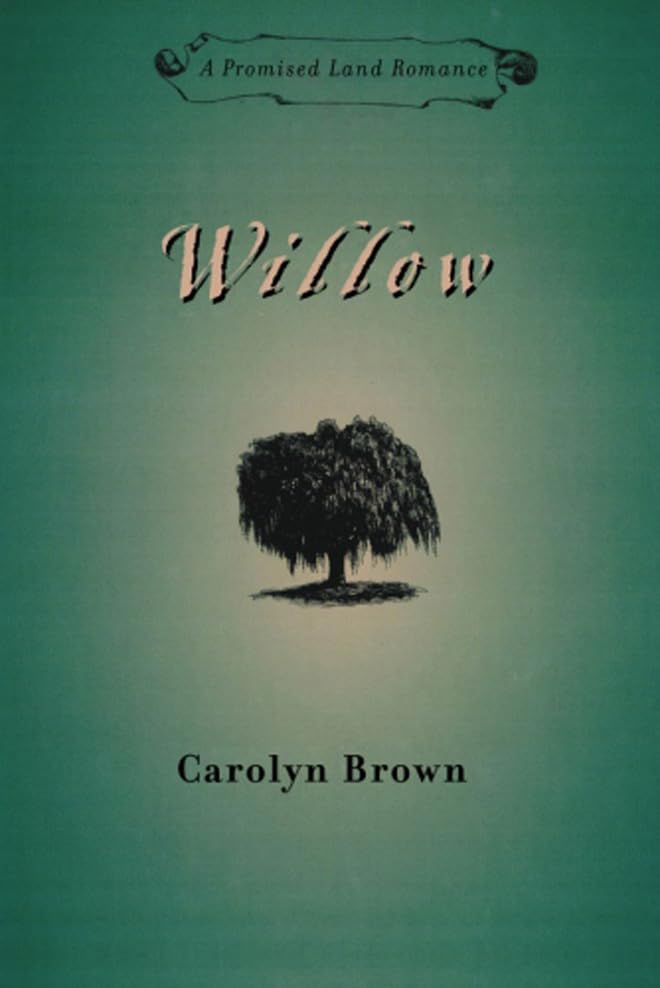 Willow book cover