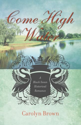 Come High Water book cover