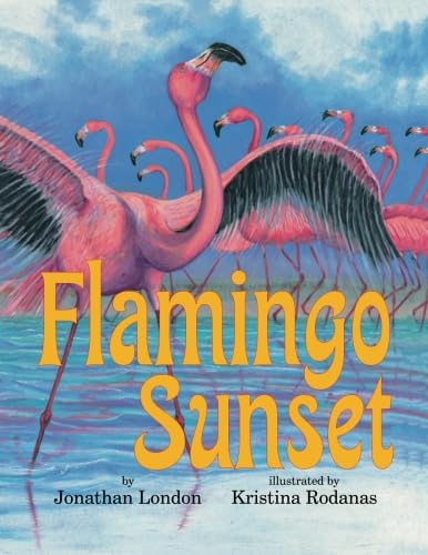 Flamingo Sunset book cover