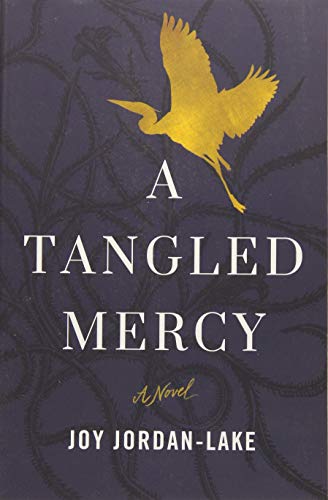 A Tangled Mercy book cover