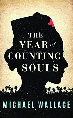The Year of Counting Souls book cover