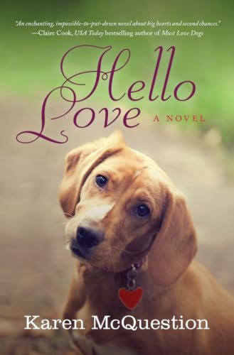 Hello Love book cover